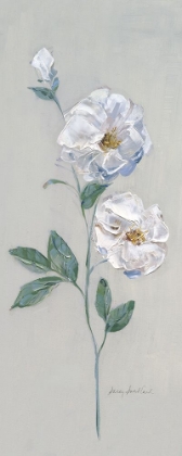 Picture of DUCHESS ROSES I