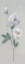Picture of DUCHESS ROSES I