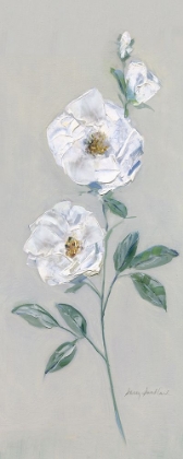 Picture of DUCHESS ROSES II