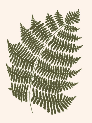 Picture of FOREST FERN BLUSH 1