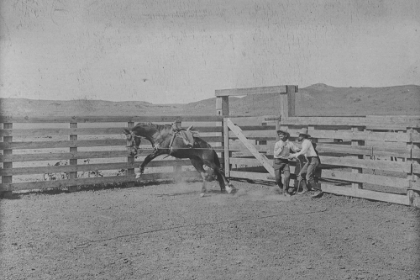 Picture of IN THE BRONC PENS