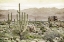 Picture of IN THE VALLEY V2