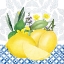 Picture of LEMON LEMON 3