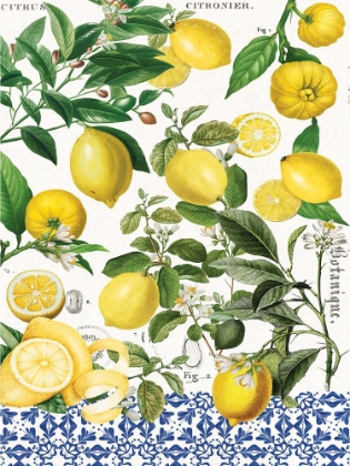 Picture of LEMONS