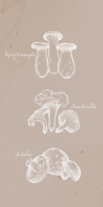 Picture of MUSHROOMS 1