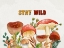 Picture of MUSHROOMS AND LEAVES 6