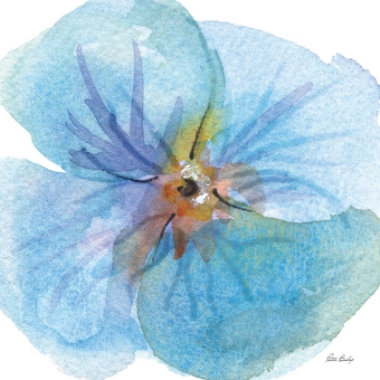 Picture of PANSIE BLUE