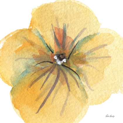 Picture of PANSIE YELLOW