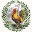 Picture of PRIZE ROOSTER 1