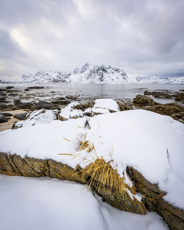 Picture of STRAW AND SNOW