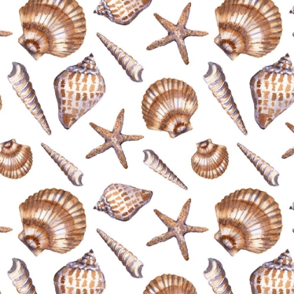 Picture of TAN SHELL PATTERN