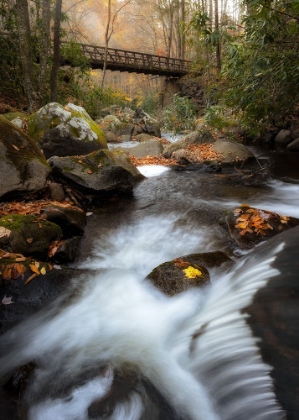 Picture of THE BRIDGE I