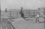 Picture of THE BRONC GETS UGLY