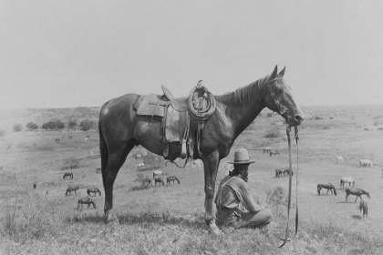 Picture of THE HORSE WRANGLER