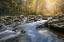 Picture of TUMBLED STONES