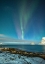 Picture of VIK LIGHTS I