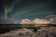 Picture of VIK LIGHTS IV