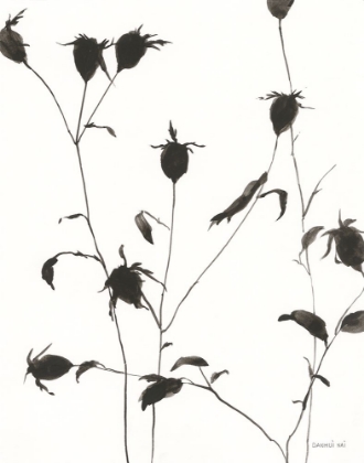 Picture of BOTANICAL SHADOWS II