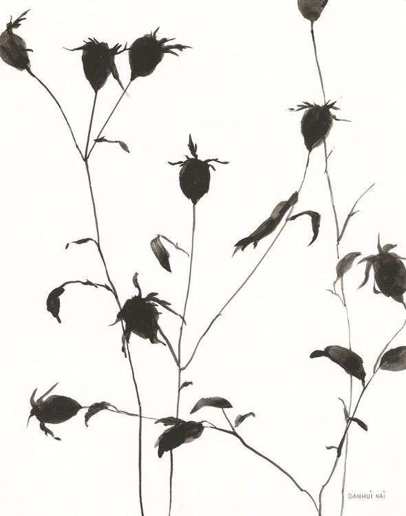 Picture of BOTANICAL SHADOWS II