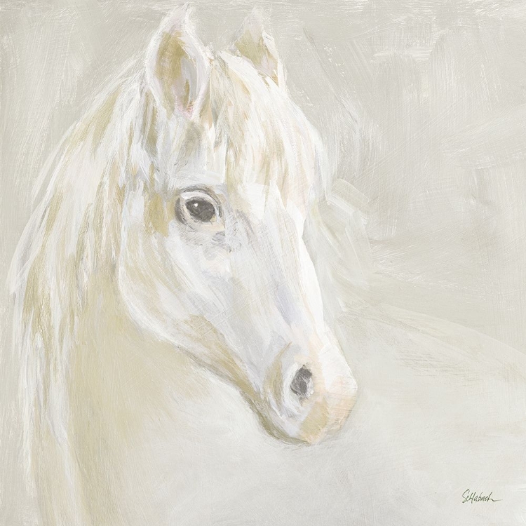 Picture of GENTLE WHITE HORSE