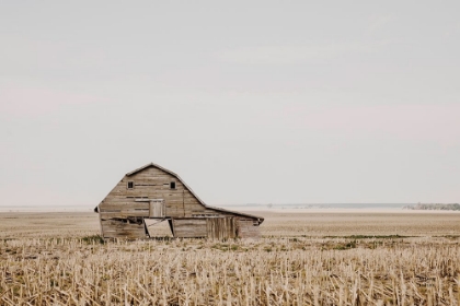 Picture of LEANING BARN