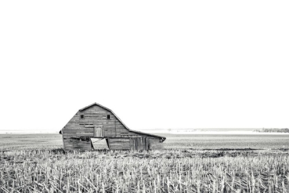 Picture of LEANING BARN BW