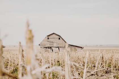 Picture of LEANING BARN FIELD I