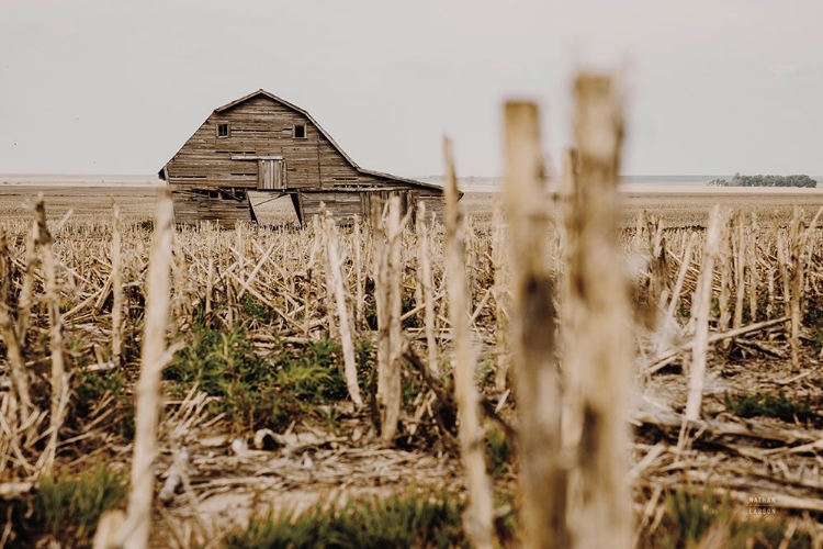 Picture of LEANING BARN FIELD II