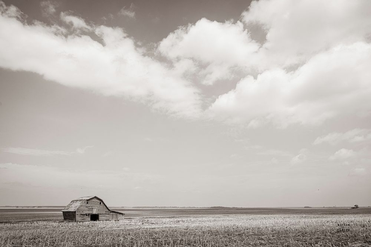 Picture of LEANING BARN FIELD III