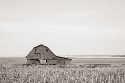 Picture of LEANING BARN NEUTRAL