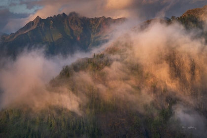 Picture of MISTY NORTH CASCADES
