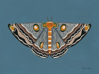 Picture of MOTH I