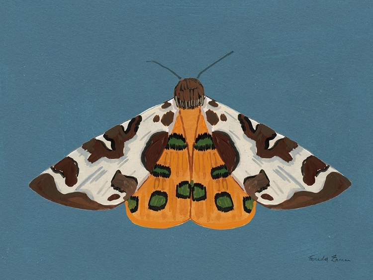 Picture of MOTH II