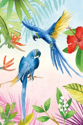Picture of PARROTS AND PALMS II