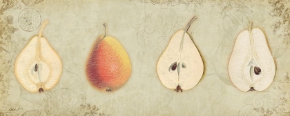 Picture of PEAR QUARTET