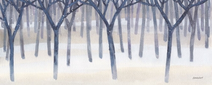 Picture of WINTER WOODLAND WALK