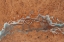 Picture of AERIAL 16
