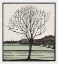 Picture of BALD TREE_JULIE DE GRAAG