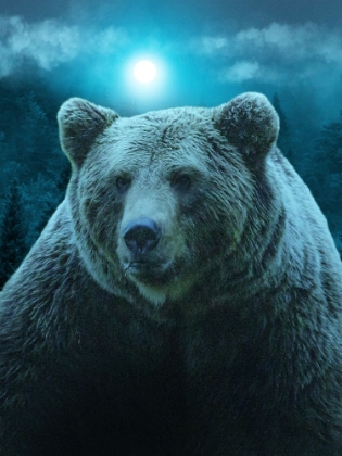 Picture of BEAR UNDER BLUE MOON