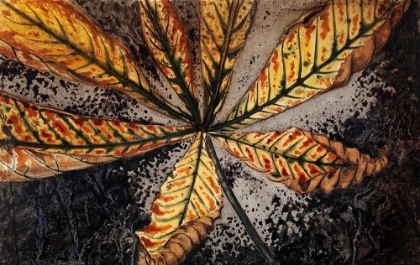 Picture of CHESTNUT LEAF_JULIE DE GRAAG