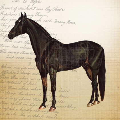 Picture of CHEVAL 1