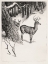Picture of DEER FAMILY_RODNEY THOMSON
