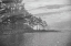 Picture of DIVE INTO SURREAL 5