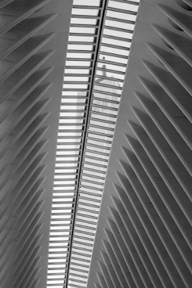 Picture of EXPLORE NYC 11