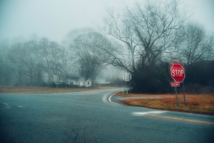Picture of FOGGY ROAD 4