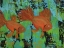 Picture of GOLD FISH_HORIZONTAL