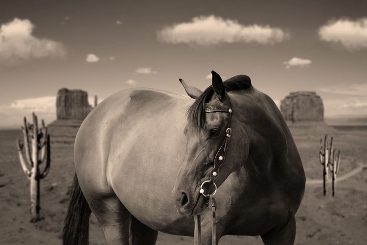 Picture of HORSE ON THE RANGE