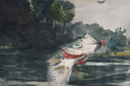 Picture of LIFE-SIZE BLACK BASS_WINSLOW HOMER 1904