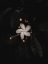 Picture of MACRO FLOWER 33