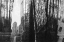 Picture of NYCBELTON 9